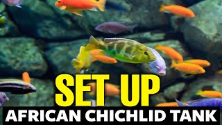 How To Setup An African Cichlid Tank 🐟