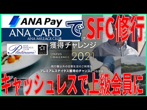 ANA Pay, ANAカードでSFC修行！2021年はキャッシュレス決済で上級会員を目指せるようになります。条件を詳しく解説！