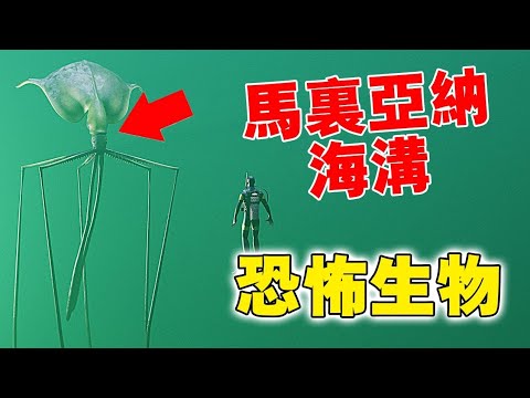 馬里亞納海溝最恐怖的23种生物，最後一种達到了200多米，科學家都無法想象！#科普 #世界之最 #阿菌看世界 #動物 #怪物