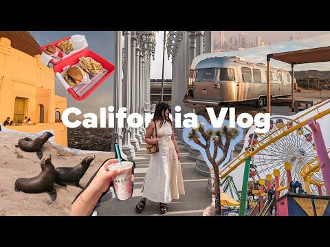 California Travel Vlog 🌴 San Diego, Joshua Tree,  and Los Angeles