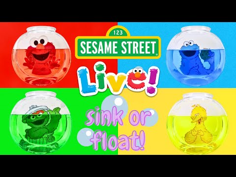 Sink or Float with Sesame Street | Science Experiments for Kids | Fun Educational Video for Toddlers