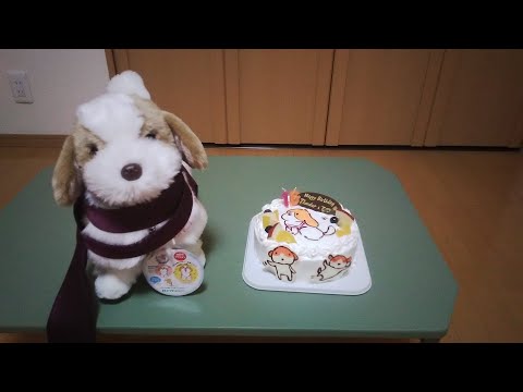 誕生日に愛犬ロボてつのケーキ食べてみた！