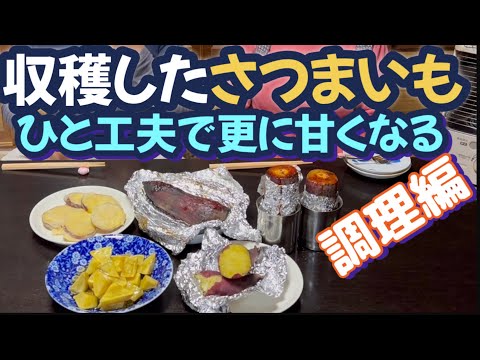 【楽しい家庭菜園】みんな大好き秋の味覚シリーズMVPはこれだ！