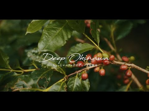 Deep Okinawa_中山コーヒー園