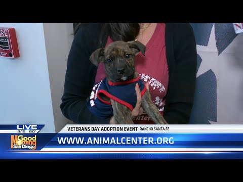 Helen Woodward Animal Center honors veterans & active duty military with free adoptions