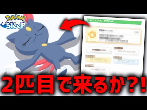 『課金の力で手に入れたお香』を使って最強ニューラ捕獲なるか？【ポケモンスリープ】