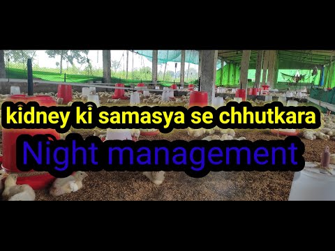 Night management