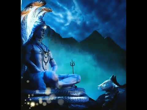 shiva Namah #shorts #youtubeshorts #shortvideo