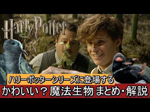 映画に登場するかわいい？魔法生物 まとめ・解説【ハリーポッター・ファンタスティックビースト】