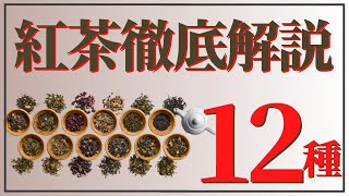 【徹底解説】あなたにぴったりの紅茶はどれ？