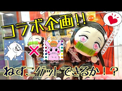 【コラボ企画】鬼滅の刃　寝そべりねずこちゃんぬいぐるみをゲットするまで帰れません！【ヨッシーさん】【クレーンゲーム】【鬼滅の刃】【竈門禰豆子】(Japanese claw machine)