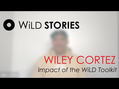 Impact of the WiLD Toolkit - Wiley's WiLD Story