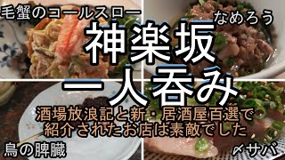 神楽坂　居酒屋で一人呑み　酒場放浪記、新・居酒屋百選で紹介されたお店はおっさんには心地良かった