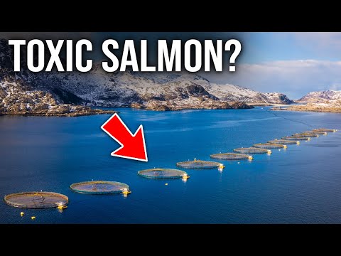 This SENSATIONAL Fish Farm Changes The TOXIC Salmon Industry