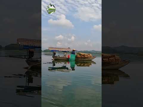 Thac Ba Lake #shorts  #motortrip #roadtripvietnam #vietnammotorbiketours