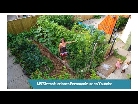 FREE LIVE Intro to Permaculture on Youtube