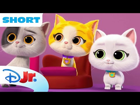 SuperKitties Su-Purr Adventures! | Playing SuperKitties | @disneyjr