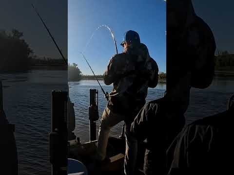 I've always dreamed of a fishing trip like this. #rivercamping #riveradventures #fishing #catfish