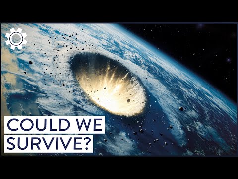 Could Humanity Survive The Asteroid That Wiped Out The Dinosaurs?