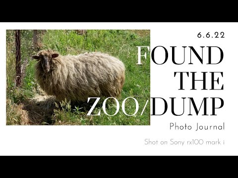 Is it the Zoo or the Dump in Vlore, Albania - Photo Journal - 6.6.22 - Sony Rx100 i