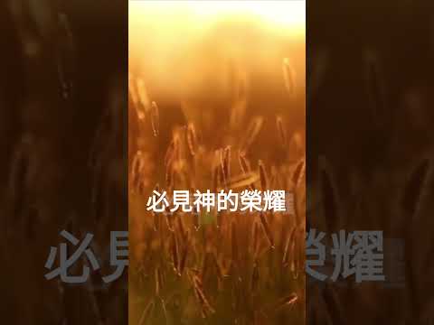 《一粒麥子》小提琴與管弦樂