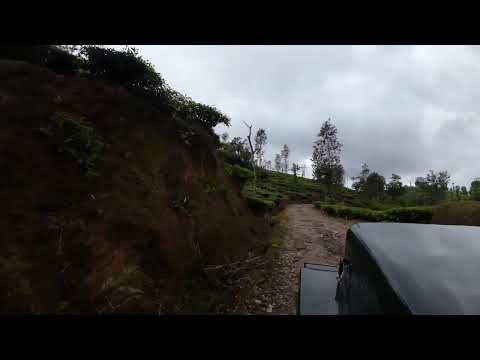 Coorg Kodagu Jeep off-road ride | coffee Estate view✨