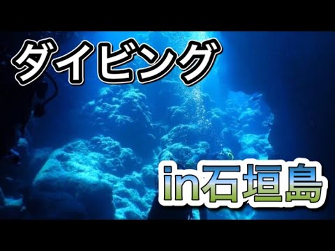 ダイビングin石垣島