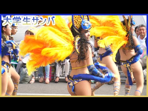 4K 大学生 浅草サンバカーニバル 2024 S1-⑤ ウニアン・ドス・アマドーリス Asakusa Samba Japan 追いかけバージョン