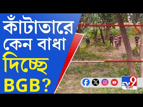 India-Bangladesh Border: বর্ডার গার্ড বাংলাদেশের এত সমস্যা কীসের?