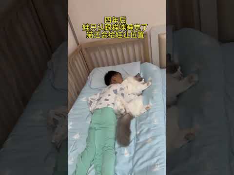 四年前那个霸占宝宝床的猫咪看着孩子长大了…#萌娃和萌宠