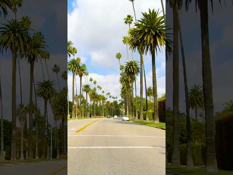 Beverly Hills Drive - California