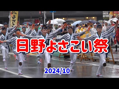 4K 本丁筋踊り子隊【ひのよさこい祭】2024年　東京の日野で雨の中、第21回日野よさこい祭の本丁筋踊り子隊の演舞。豊田南演舞場１回目