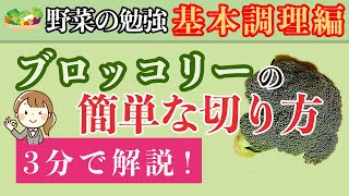 ブロッコリーの簡単な切り方！軸まで美味しく食べる切り方