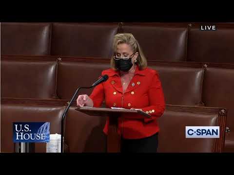 Congresswoman Ann Wagner Speaks on the ERA