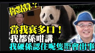 【精彩】沈四海（6）：第日！你當我衰口！ 我硬係認住呢2隻熊貓會出事 好奇怪哦 往往你咁高調  上天就同你開一開玩笑   到時多說話講諾！家超你點算！