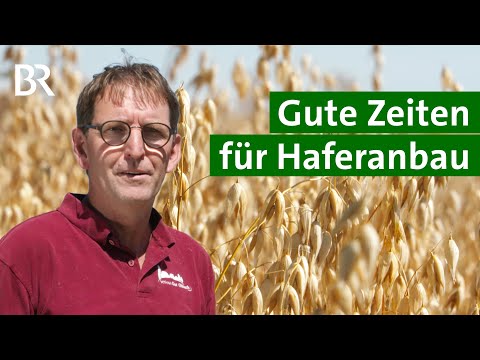 Bio-Hafer-Anbau | Republish | Unser Land | BR Fernsehen