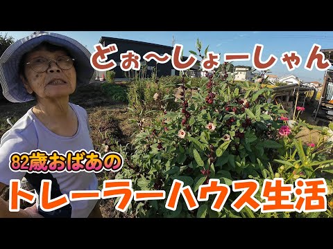 【トレーラーハウス生活】おばあの小言　#348