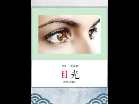 学中文 | 汉字 | Learn Chinese | Chinese Character | 目