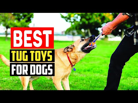 ✅Top 5 Best Tug Toys For Dogs in 2023