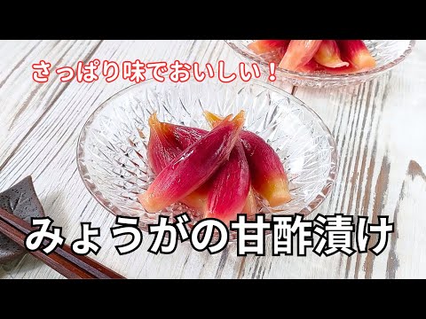 作り置きにおすすめ！さっぱり味がおいしい！みょうがの甘酢漬けレシピ