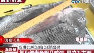 破最大毒魚集團 搜出上噸氰化鉀