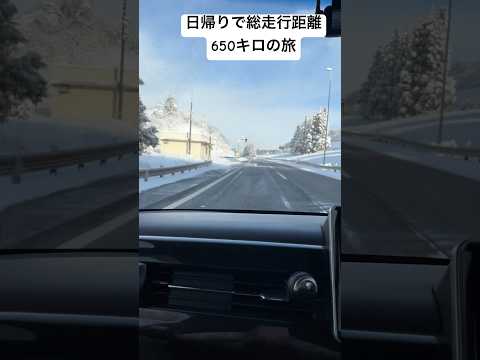 【N-BOX】愛犬と冬の雪山へ日帰り旅総走行距離650キロの旅#ショート #愛犬との暮らし #ドライブ #新潟 #関越自動車道 #雪山 #トイプードル#車中泊