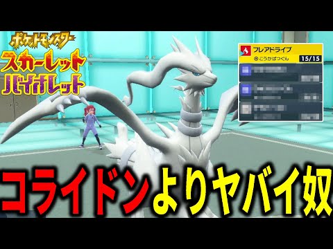 これコライドンにできんの？レシラムを"物理型"で使ったら強すぎたｗｗｗ【ポケモンSV】