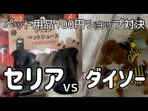 【ダイソー☆セリア】ペットグッズ100均対決！