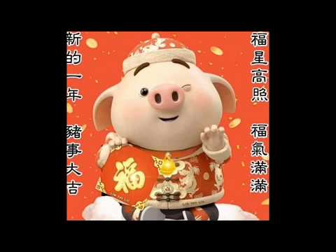 2019年 猪年快乐，恭喜发财！