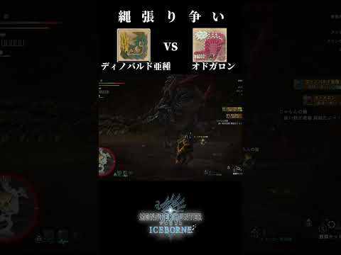 【縄張り争い】Odogaron(オドガロン) vs Acidic Glavenus(ディノバルド亜種)【モンハンワールドアイスボーン】＃shorts #mhw  #monsterhunter