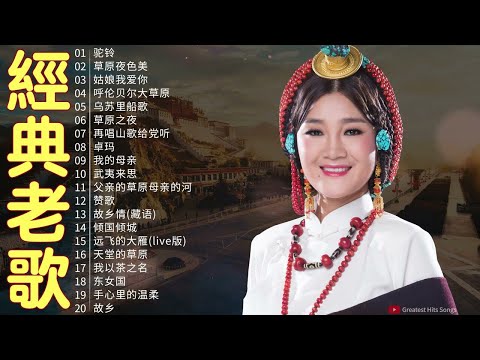 【经典老歌】女中音降央卓玛所有歌 | 迷人的草原歌曲 《驼铃 /草原夜色美 / 姑娘我爱你 / 呼伦贝尔大草原 / 乌苏里船歌》