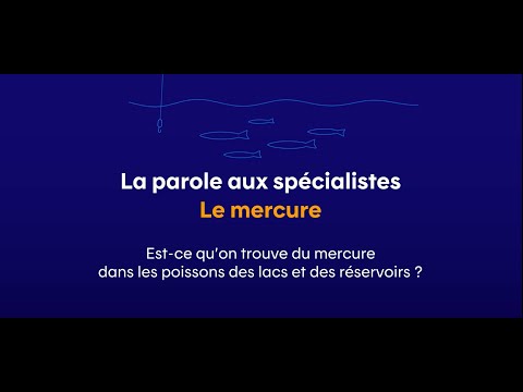 Est-ce qu’on trouve du mercure dans les poissons des lacs et des réservoirs?