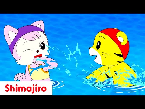 🏅 Summer Olympics Fun! 🌞 | Shimajiro's Olympic Adventures | Nursery Rhymes & Songs 🎶