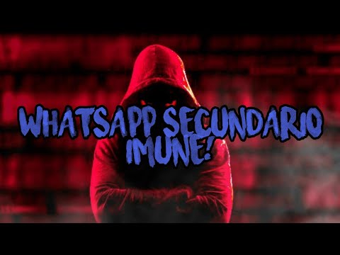 WhatsApp (SECUNDÁRIO!) RAJANDO igual IOS! IMUNE a TRAVAS: CATÁLOGO, CONTATO, TXT E ETC...